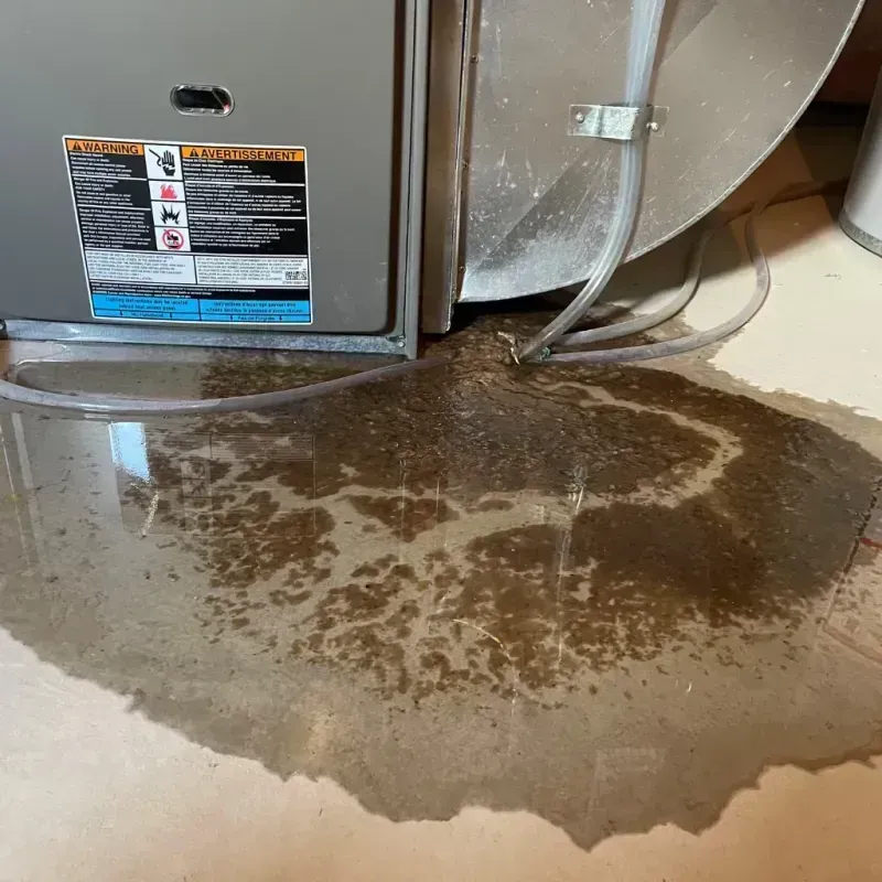 Appliance Leak Cleanup in Clyde Hill, WA